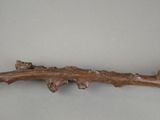 a branch of a tree that has been carved into it