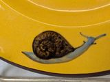 a yellow plate with a picture of a snail on it