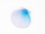 a blue and white shell on a white surface