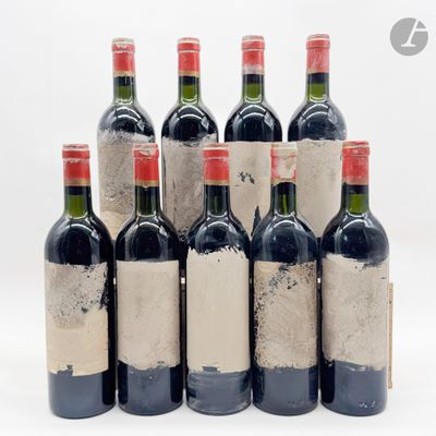six bouteilles de vin sont alignées sur une surface blanche