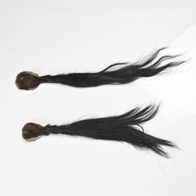 deux mèches de cheveux noirs sont posées sur une surface blanche