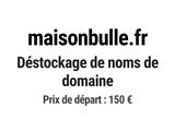 Photo 1/1 du lot