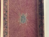 an open book with a spider on it sitting on top of a table