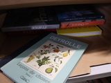 a book that is sitting on top of a book shelf