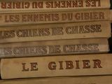 Photo 2/8 du lot