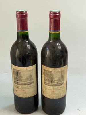 2 bouteilles Château BARON MILON 1991 (étiq abîmées)