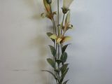 un vase contenant des fleurs, posé sur une table