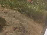 an image of a painting of a man and a dog in a field