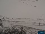 many birds flying in the sky over a field