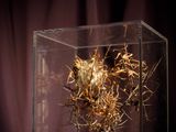 a glass box with a plant inside of it on a table