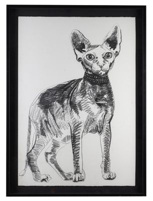 un dessin en noir et blanc représentant un chat sur fond blanc