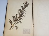an open book with a plant in it sitting on a table