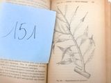 une feuille de papier posée sur un livre ouvert