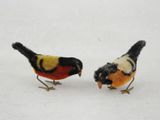 deux petits oiseaux qui se tiennent dans la neige