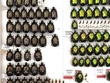 a lot of beetles that are on display on the wall