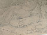 a drawing of a dog laying down on the ground