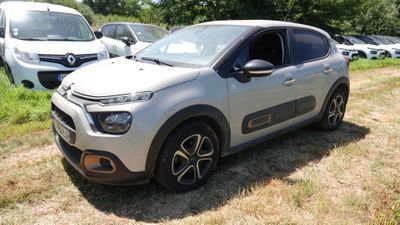 une voiture argentée garée dans l'herbe