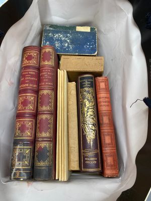 Ensemble de livres divers Voile , ouvrages de dames , carton…