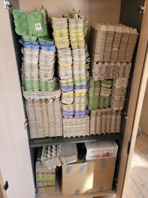 a cabinet full of baby diapers and diapers on the shelves