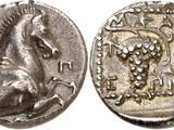 a silver coin with a horse and grapes on it