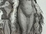 a drawing of a naked woman with a fur coat on