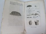 an open book with a drawing of a whale on it