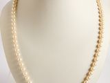pearl necklace on a mannequin display on a white background