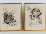 deux dessins encadrés représentant des oiseaux en vol, dont l'un est un faisan et l'autre un faisan