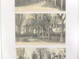 four pictures of people riding horses and dogs in the park
