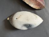 two shells that are sitting on a table