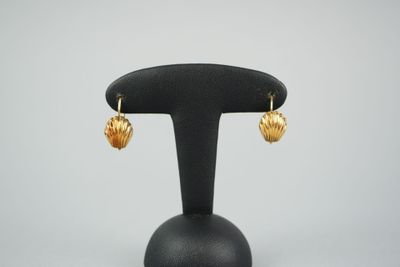 une paire de boucles d'oreilles en forme de coquillage dorées, posées sur un support noir