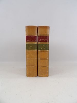une paire de livres anciens reliés en cuir, posés sur une surface blanche