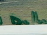 a picture of a painting on the window sill of a house