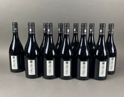 12 B Saint Chinian (rouge), Château Fonsalade, Felix Culpa, …