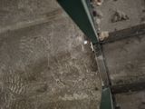 a cat that is sitting on the steps of a building