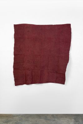 une image représentant un morceau de tissu accroché à un mur