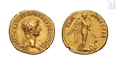 a gold coin with an image of a woman holding a sword