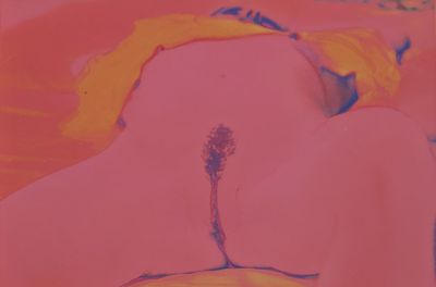 tableau représentant une femme allongée sur un lit, avec une fleur dans les cheveux
