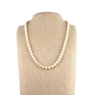 gros plan d'un collier sur un mannequin mannequin