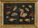 an oil painting of seashells and corals on a black background