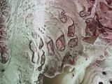 une image montrant un gros plan d'un morceau de verre