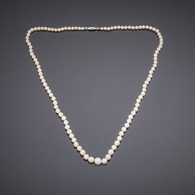 a white pearl necklace with a silver clasp on a gray background