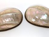 pair of mother of pearl earrings with gold accents on a white background