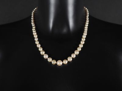 un collier de perles sur un mannequin, un mannequin, un mannequin, un mannequin, un mannequin, un mannequin, un mannequin, un mannequin, un mannequin