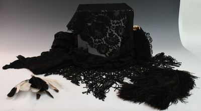 a black lace and feathers on a white background