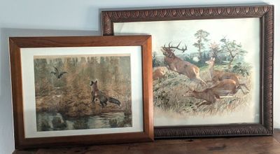 deux photos encadrées représentant un cerf et un canard, posées sur une étagère