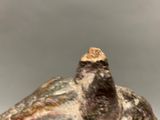 an image of a statue of a cat on a rock