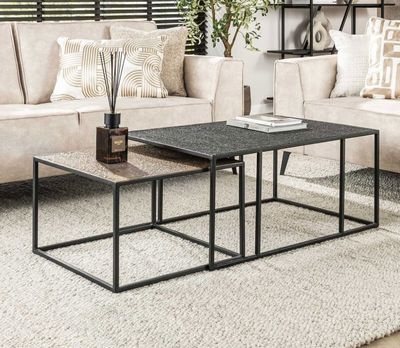 un salon avec deux canapés et une table basse