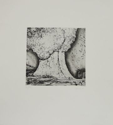 photographie en noir et blanc d'une image en noir et blanc représentant un gros champignon