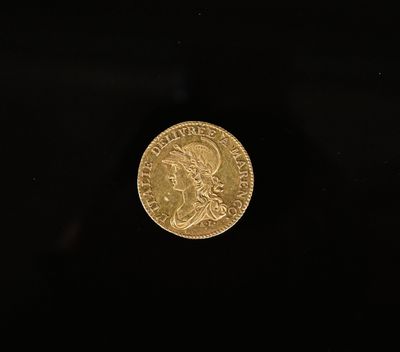 une pièce d'or sur fond noir